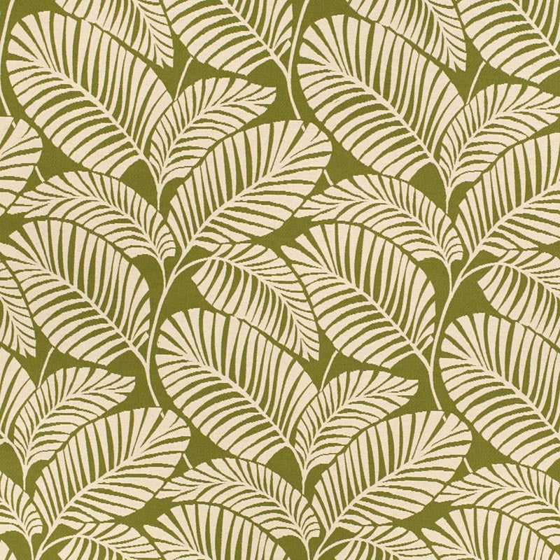 Charlotte Palm Grass Fabric D4558