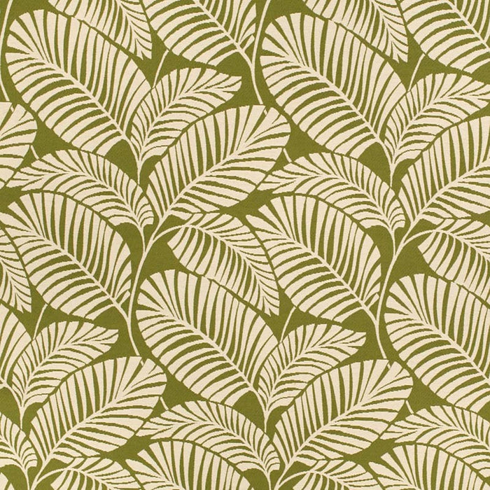 Charlotte Palm Grass Fabric Sample D4558