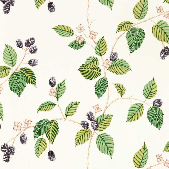 Sanderson Rubus Blackberry Wallpaper Sample DABW217227