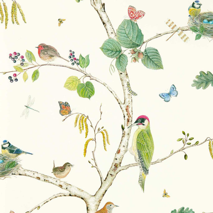 Sanderson Woodland Chorus Botanical/Multi Wallpaper Sample DABW217230