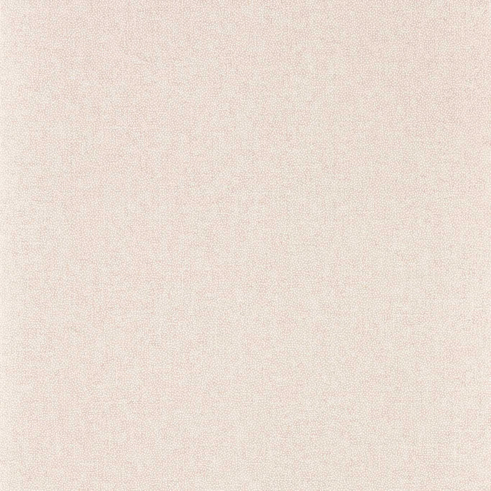 Sanderson Sessile Plain Wild Rose Wallpaper Sample DABW217244