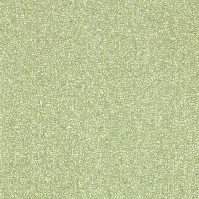 Sanderson Sessile Plain Moss Green Wallpaper Sample DABW217248