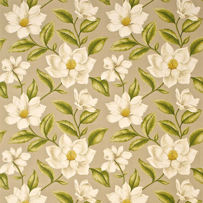 Sanderson Grandiflora Linen/ Olive GR204 Fabric Sample DAPGGR204