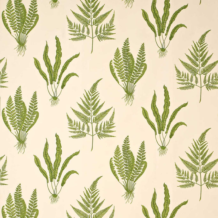 Sanderson Woodland Ferns Green WO202 Fabric Sample DAPGWO202