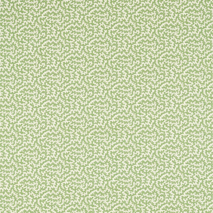 Sanderson Truffle Sap Green Fabric DARB227083