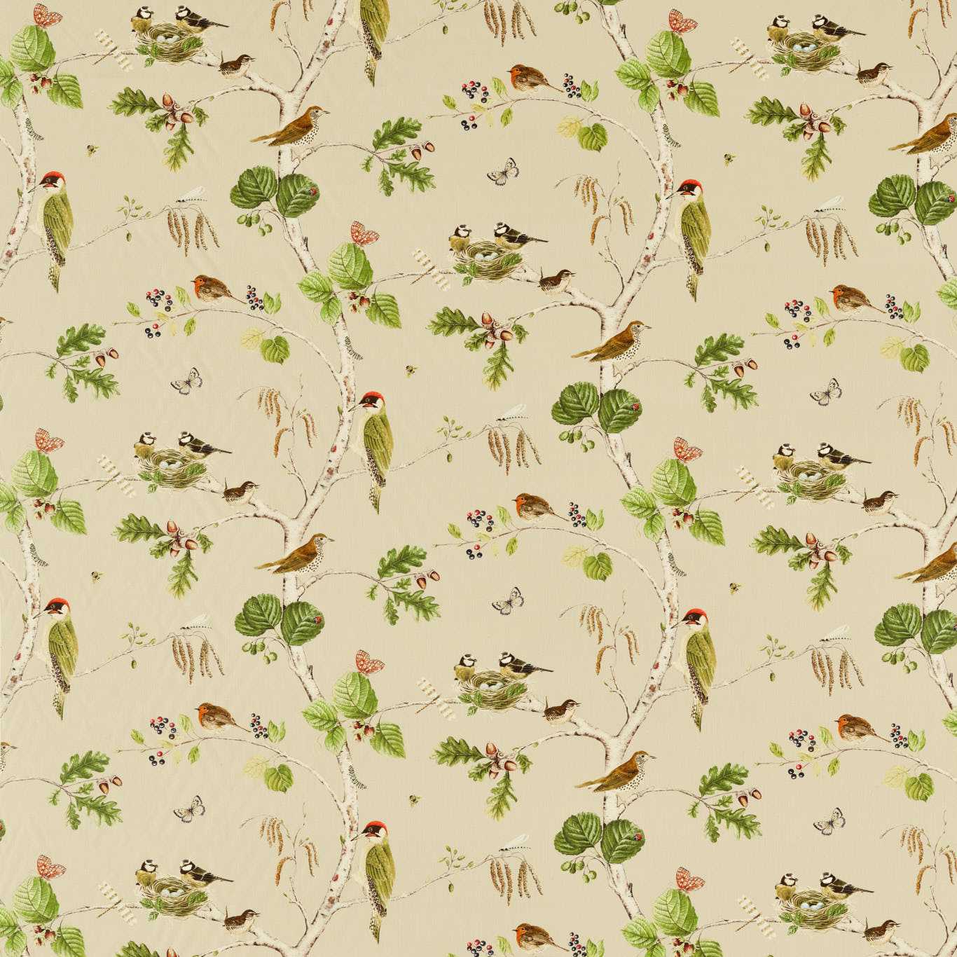 Sanderson Woodland Chorus Birch/Multi Fabric Sample DARF227060