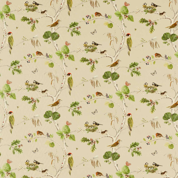 Sanderson Woodland Chorus Birch/Multi Fabric DARF227060