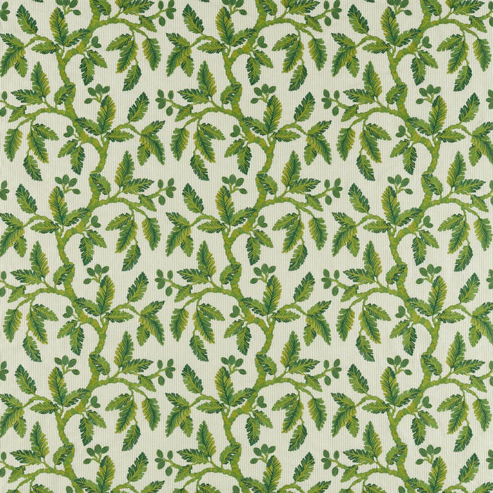 Sanderson Oaknut Stripe Botanical Green Fabric DARF237321