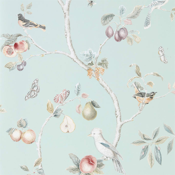 Sanderson Fruit Aviary Duck Egg/Multi 216312 Wallpaper Sample DART216312