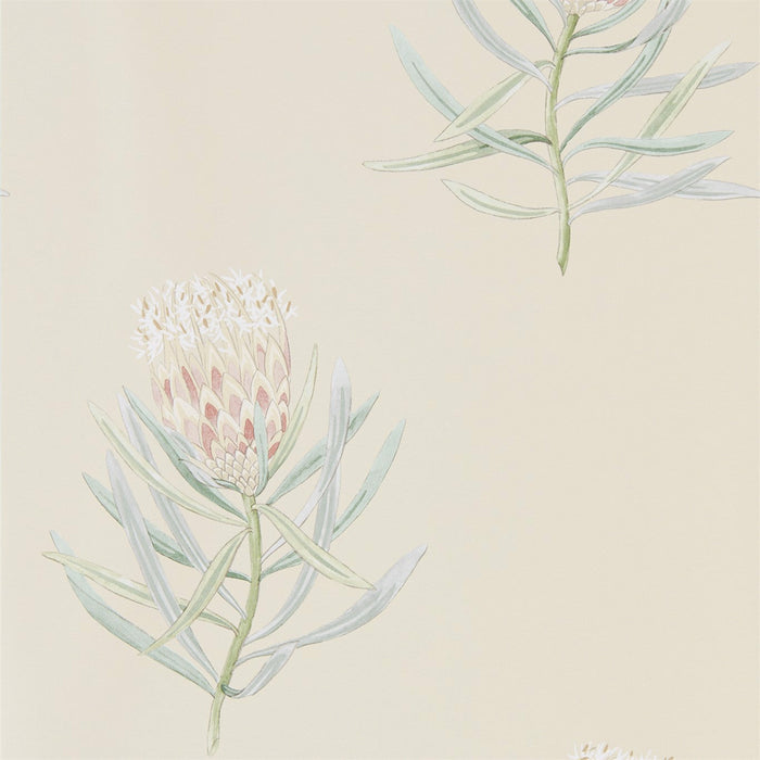 Sanderson Protea Flower Russet/Green 216329 Wallpaper Sample DART216329