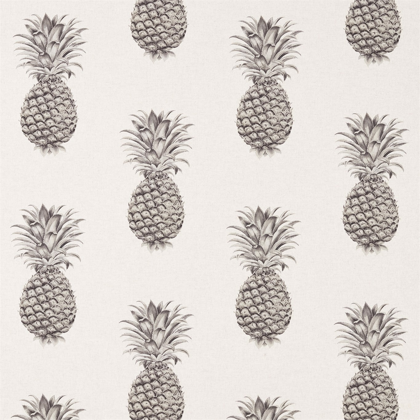 Sanderson Pineapple Royale Graphite/Linen 226299 Fabric Sample DART226299