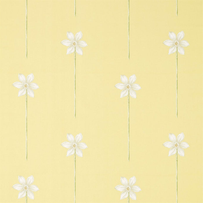 Sanderson Thalia Daffodil/Natural 226317 Fabric Sample DART226317