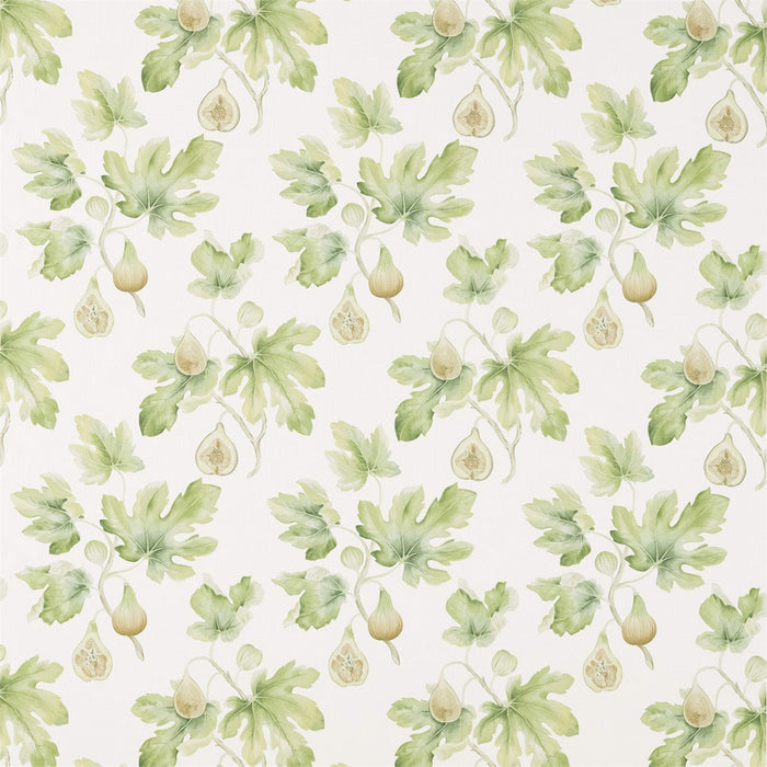 Sanderson Fig Harvest Garden Green 226329 Fabric Sample DART226329