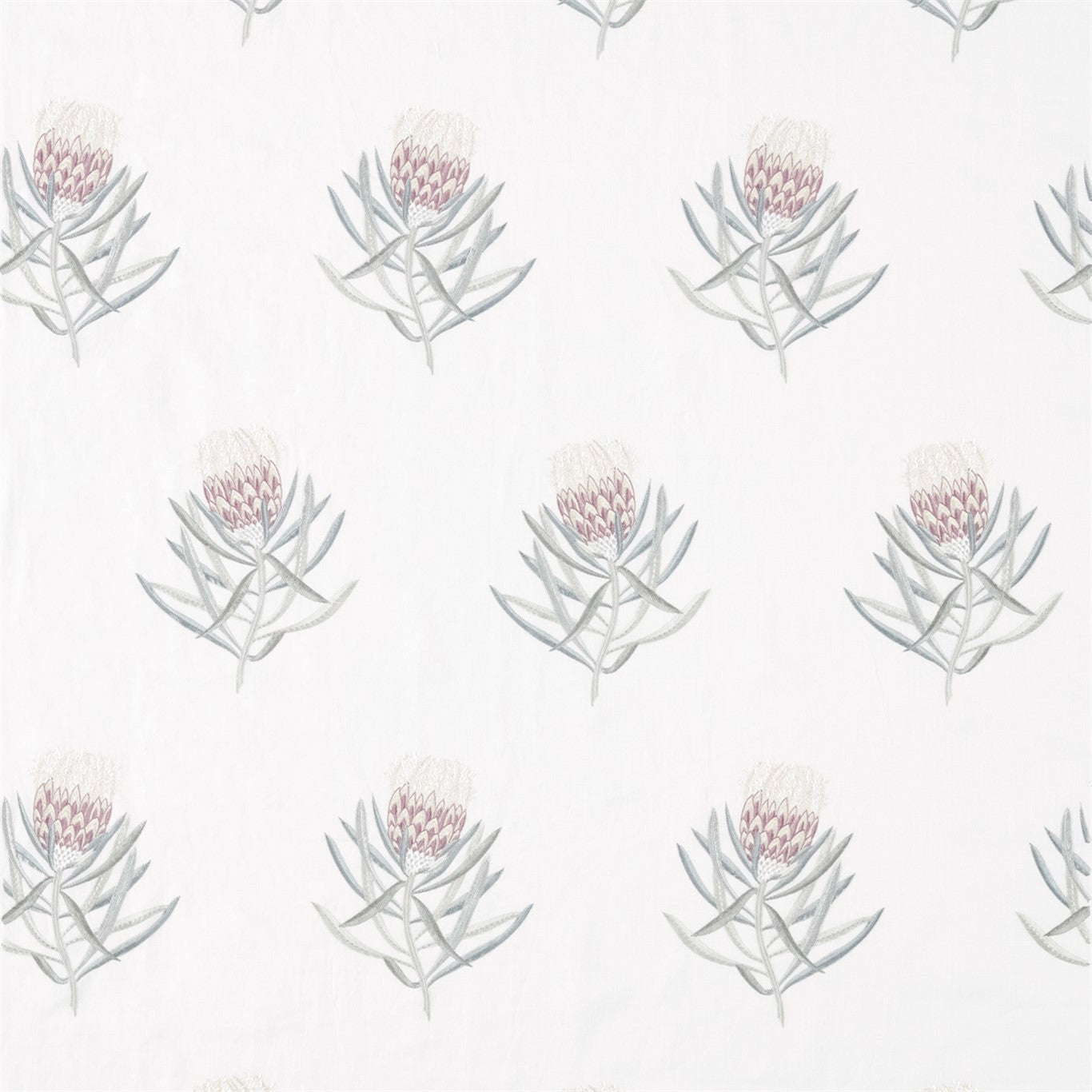 Sanderson Protea Flower Porcelain/Orchid 236352 Fabric Sample DART236352