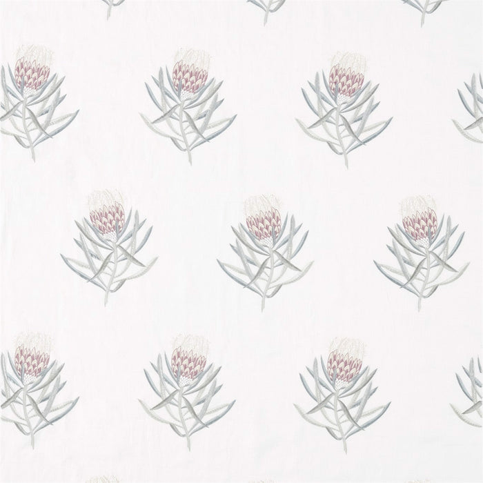 Sanderson Protea Flower Porcelain/Orchid 236352 Fabric Sample DART236352