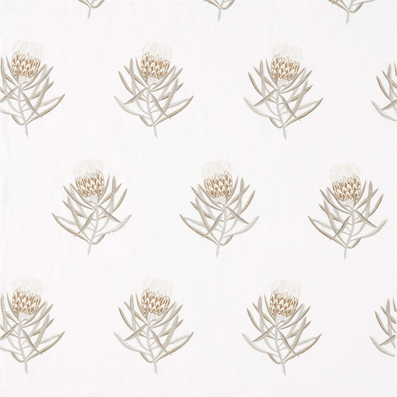 Sanderson Protea Flower Gold 236354 Fabric Sample DART236354