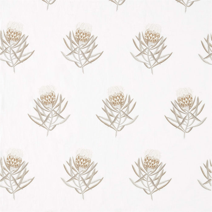 Sanderson Protea Flower Gold 236354 Fabric Sample DART236354