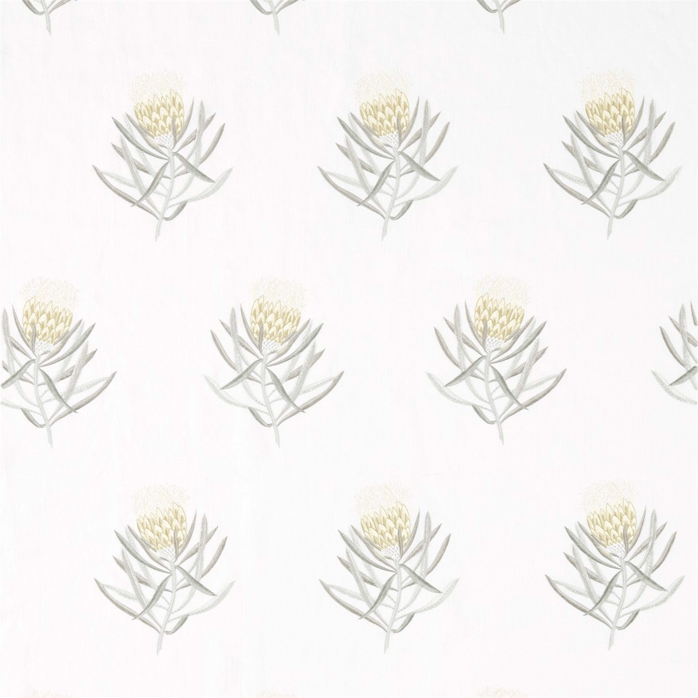 Sanderson Protea Flower Daffodil/Natural 236355 Fabric Sample DART236355