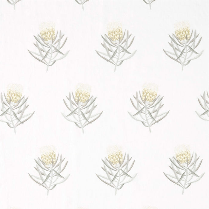 Sanderson Protea Flower Daffodil/Natural 236355 Fabric Sample DART236355