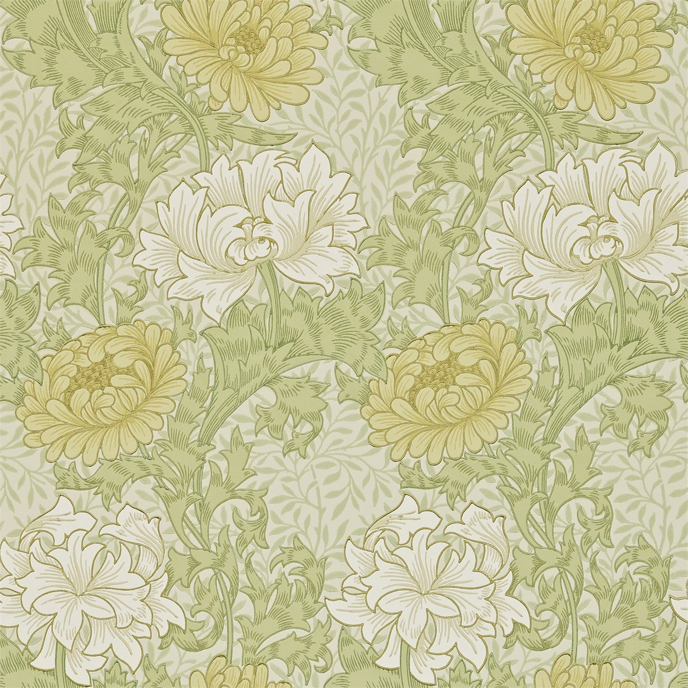 Morris & Co Chrysanthemum Pale Olive 212545 Wallpaper Sample DARW212545