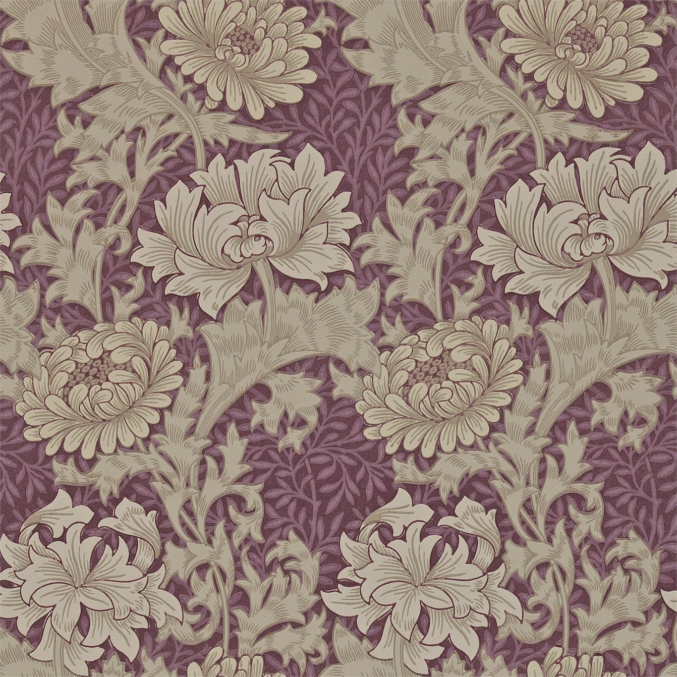 Morris & Co Chrysanthemum Wine 212548 Wallpaper Sample DARW212548