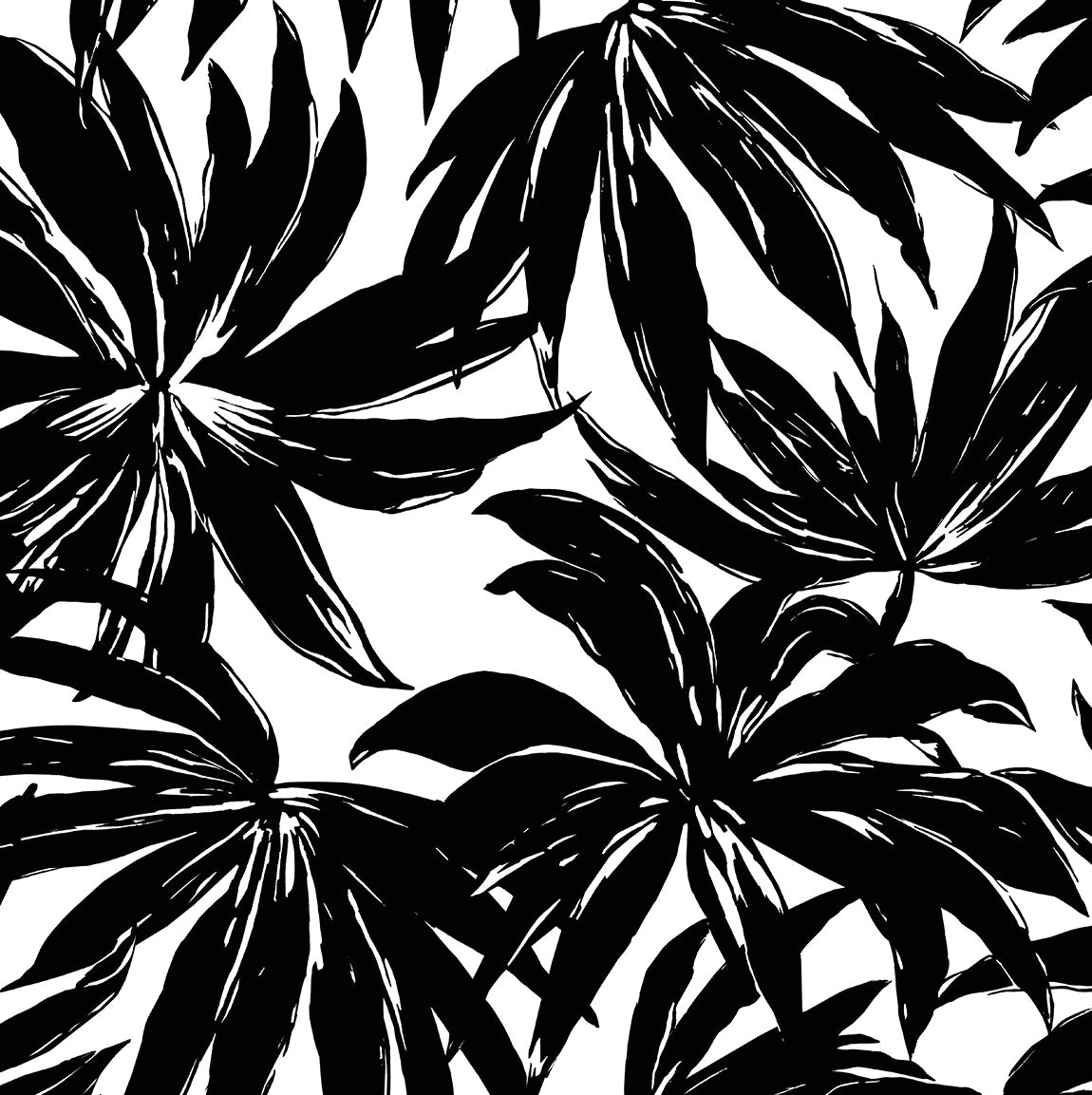 Daisy Bennett Palma Black Wallpaper Sample DBW9111