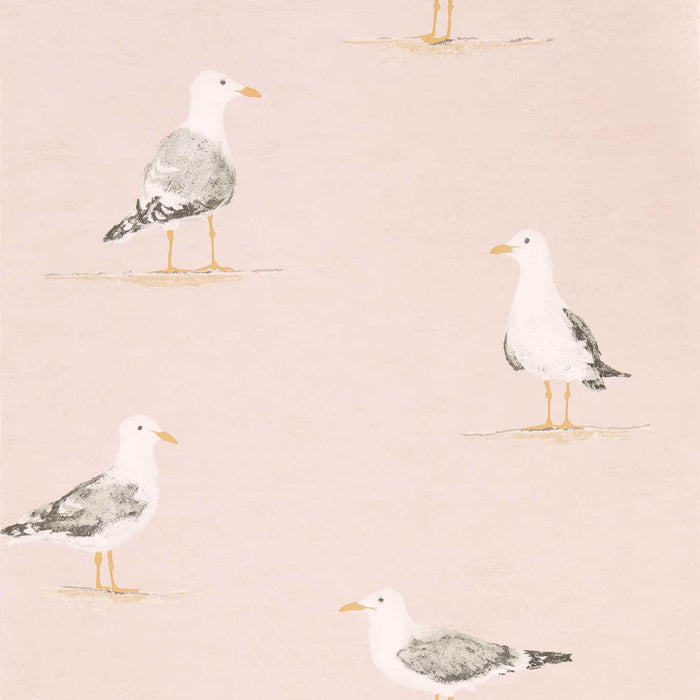 Sanderson Shore Birds Blush 216562 Wallpaper Sample DCOA216562