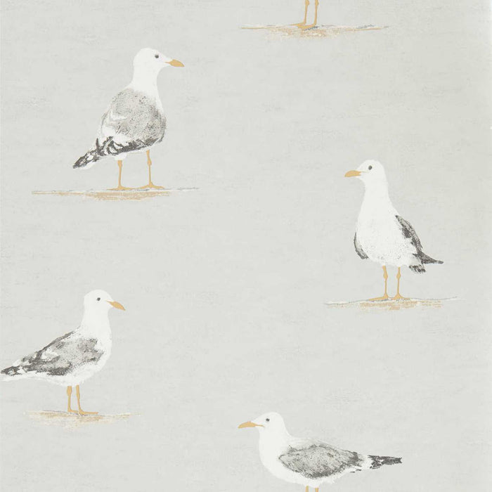 Sanderson Shore Birds Gull 216565 Wallpaper Sample DCOA216565