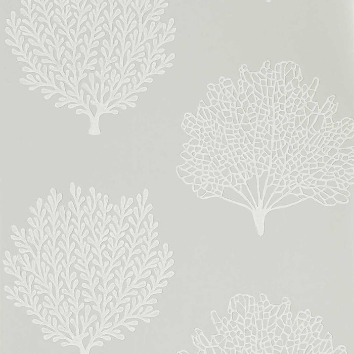 Sanderson Coraline Gull 216575 Wallpaper Sample DCOA216575