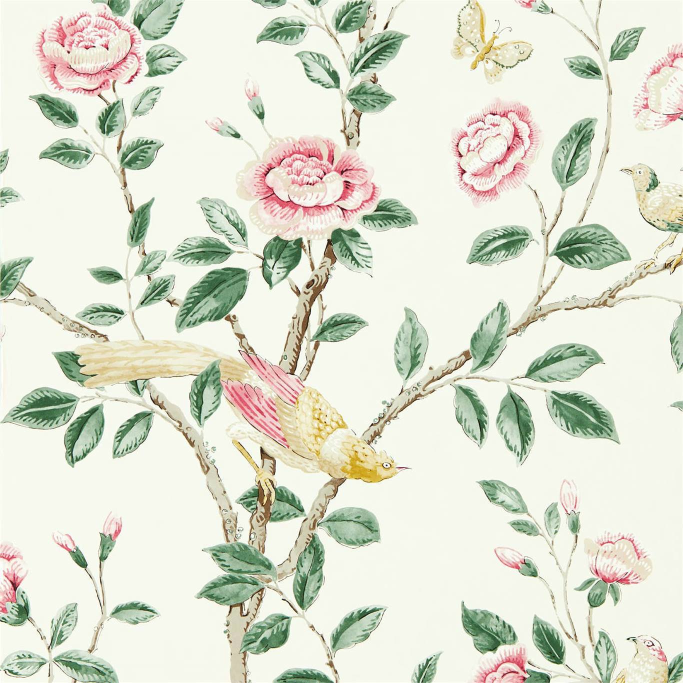 Sanderson Andhara Rose/Cream 216795 Wallpaper Sample DCPW216795