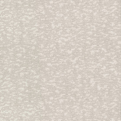 York Weathered Cypress White Wallpaper DD3754