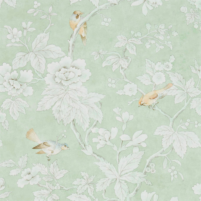 Sanderson Chiswick Grove Sage 216387 Wallpaper Sample DDAM216387