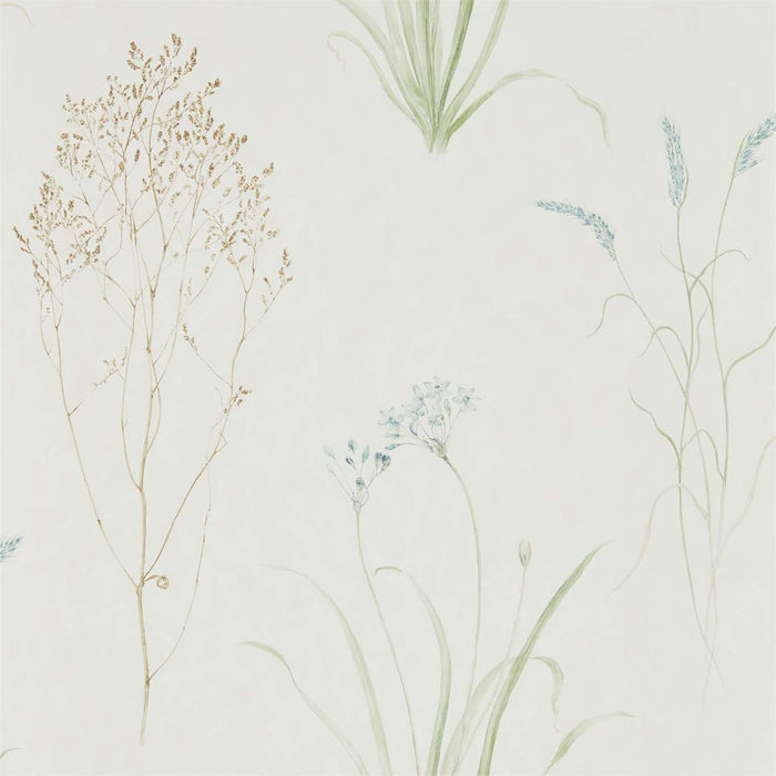 Sanderson Farne Grasses Cream/Sage 216486 Wallpaper Sample DEBB216486