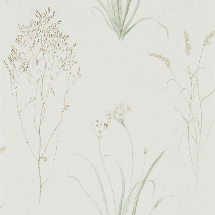 Sanderson Farne Grasses Willow/Pebble 216488 Wallpaper Sample DEBB216488