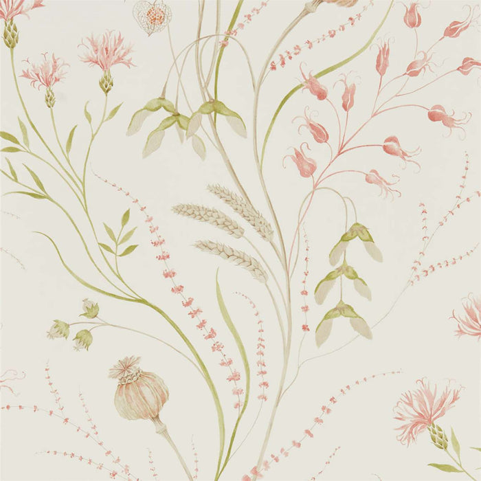 Sanderson Summer Harvest Claret/Olive 216495 Wallpaper Sample DEBB216495