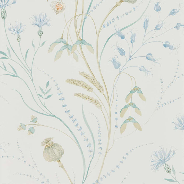 Sanderson Summer Harvest Cornflower/Wheat 216496 Wallpaper Sample DEBB216496