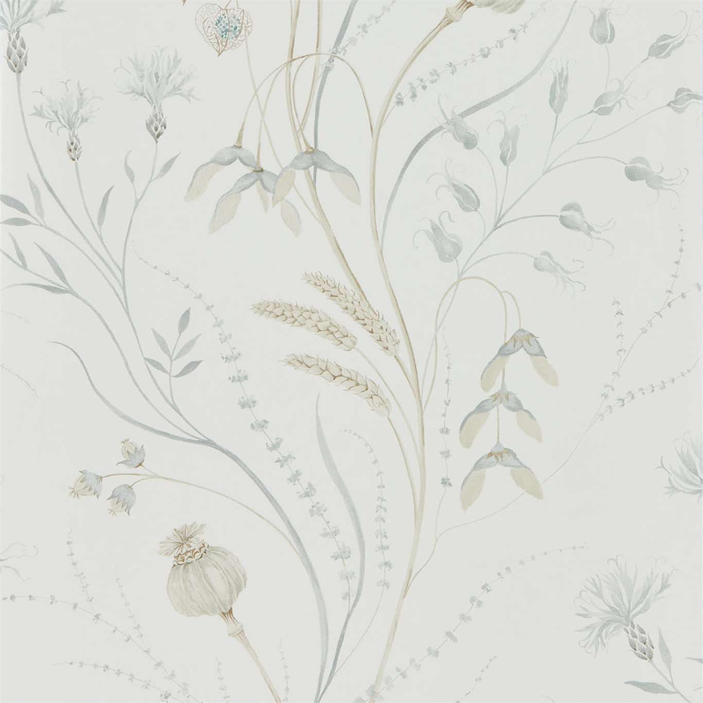 Sanderson Summer Harvest Silver/Chalk 216498 Wallpaper Sample DEBB216498