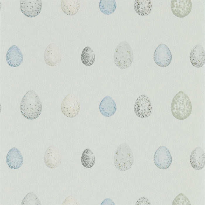 Sanderson Nest Egg Marine Aqua 216504 Wallpaper Sample DEBB216504