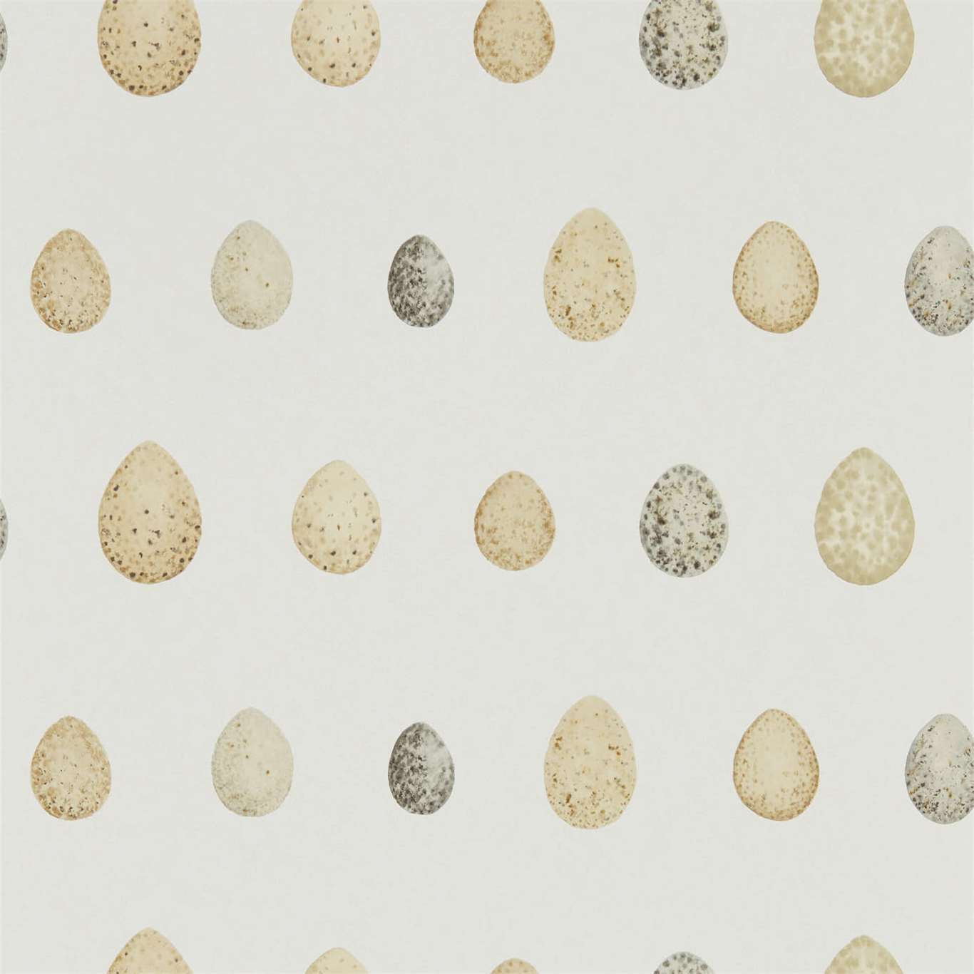 Sanderson Nest Egg Corn Graphite 216505 Wallpaper Sample DEBB216505