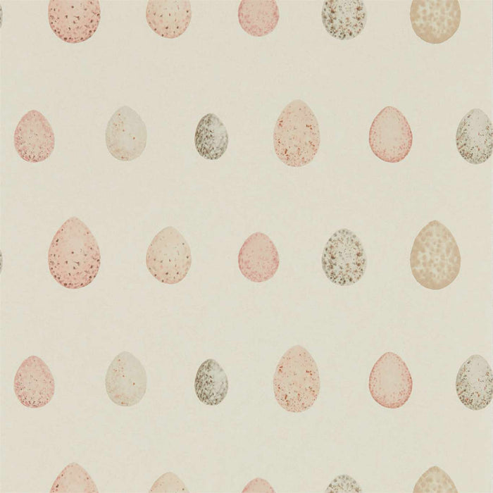 Sanderson Nest Egg Blush pink 216506 Wallpaper Sample DEBB216506