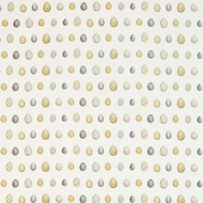 Sanderson Nest Egg Corn/Graphite 226424 Fabric Sample DEBB226424