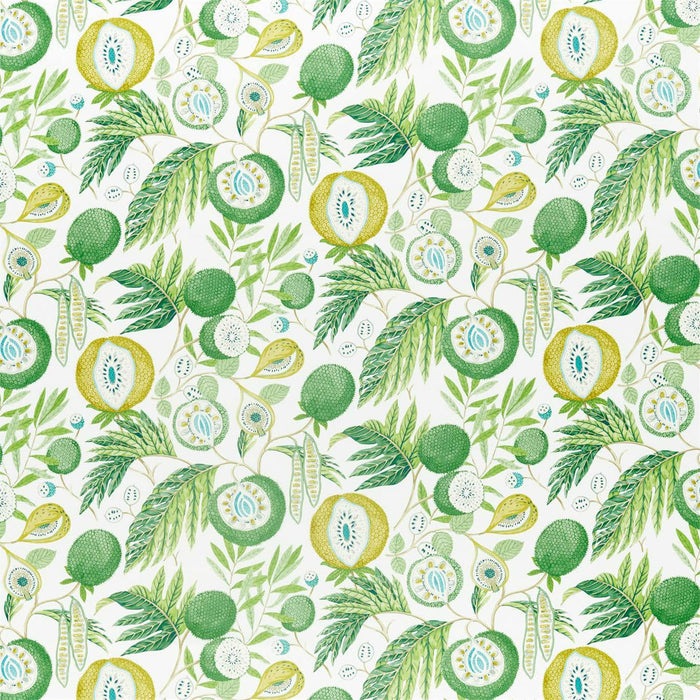 Sanderson Jackfruit Botanical Green 226559 Fabric Sample DGLA226559