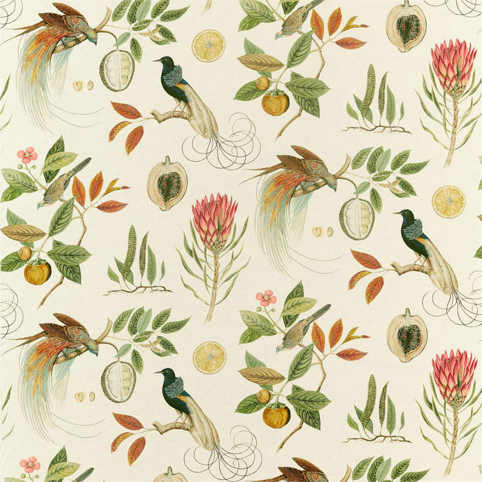 Sanderson Paradesia Orange/Olive 226564 Fabric Sample DGLA226564