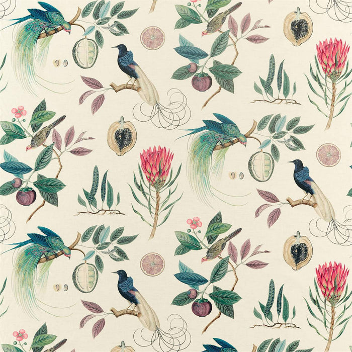 Sanderson Paradesia Fig/Indigo 226565 Fabric Sample DGLA226565