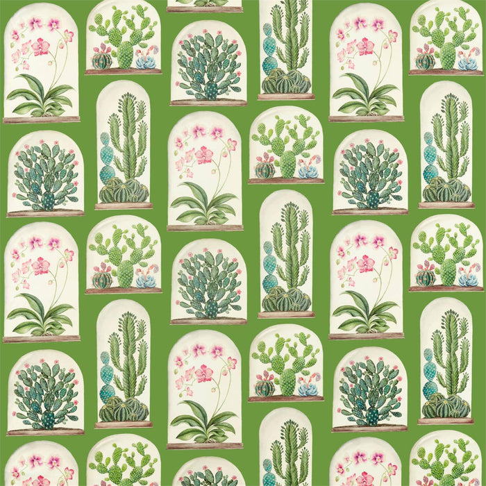 Sanderson Terrariums Botanical Green 226570 Fabric Sample DGLA226570