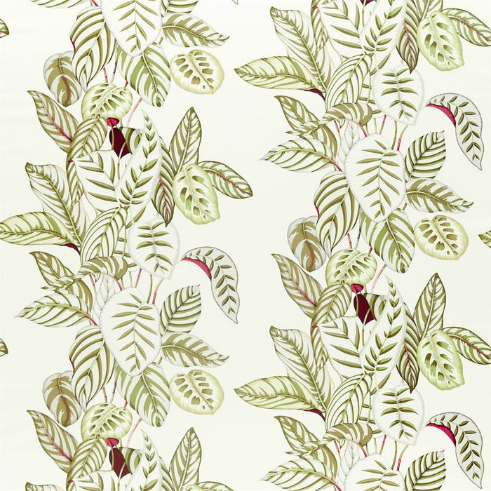 Sanderson Calathea Olive 226576 Fabric Sample DGLA226576