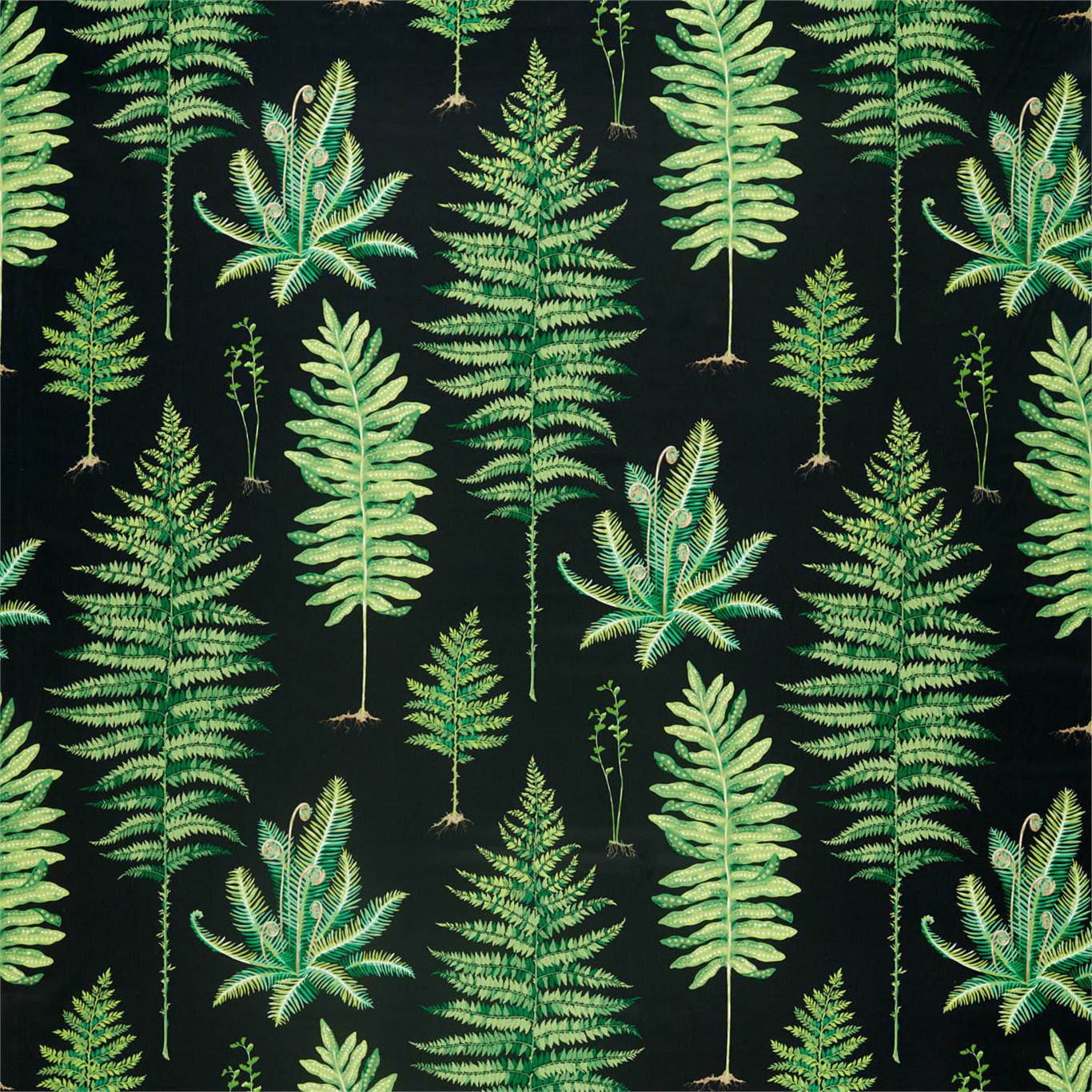 Sanderson Fernery Botanical Green/Charcoal 226577 Fabric Sample DGLA226577