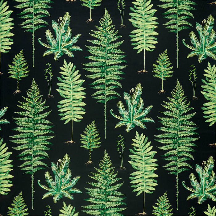 Sanderson Fernery Botanical Green/Charcoal 226577 Fabric Sample DGLA226577