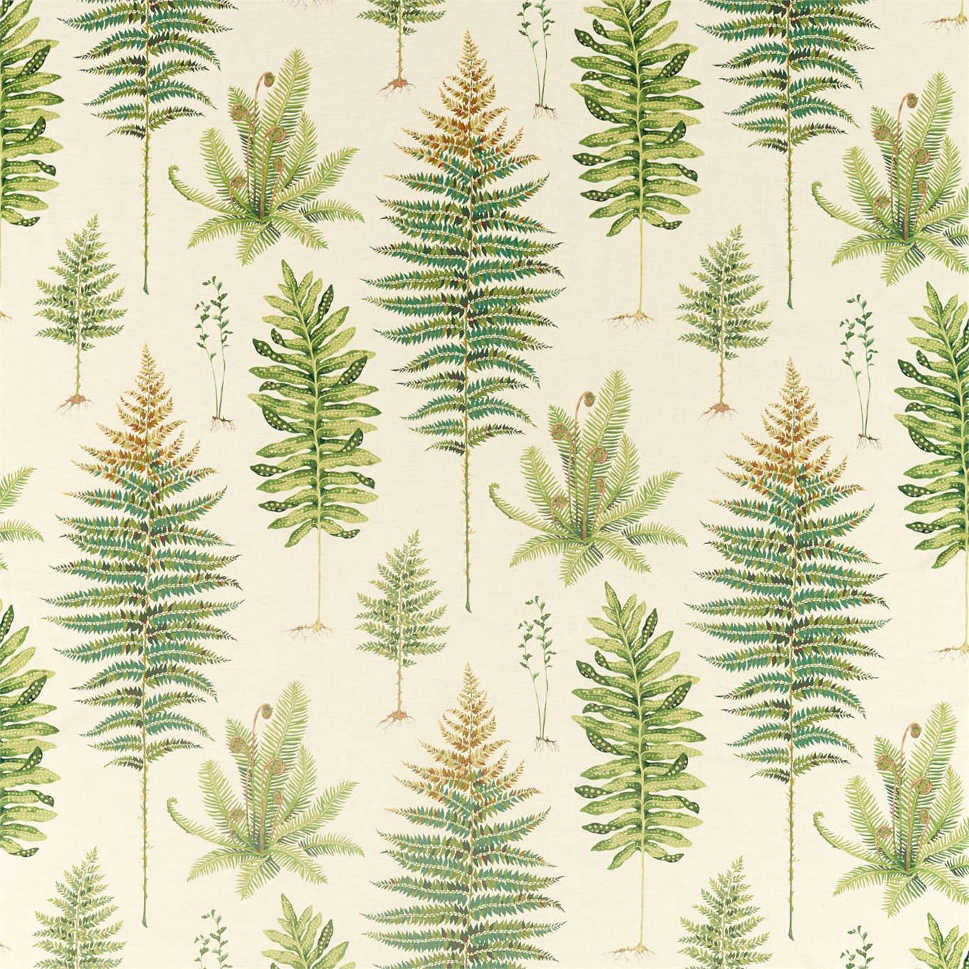 Sanderson Fernery Olive 226578 Fabric Sample DGLA226578