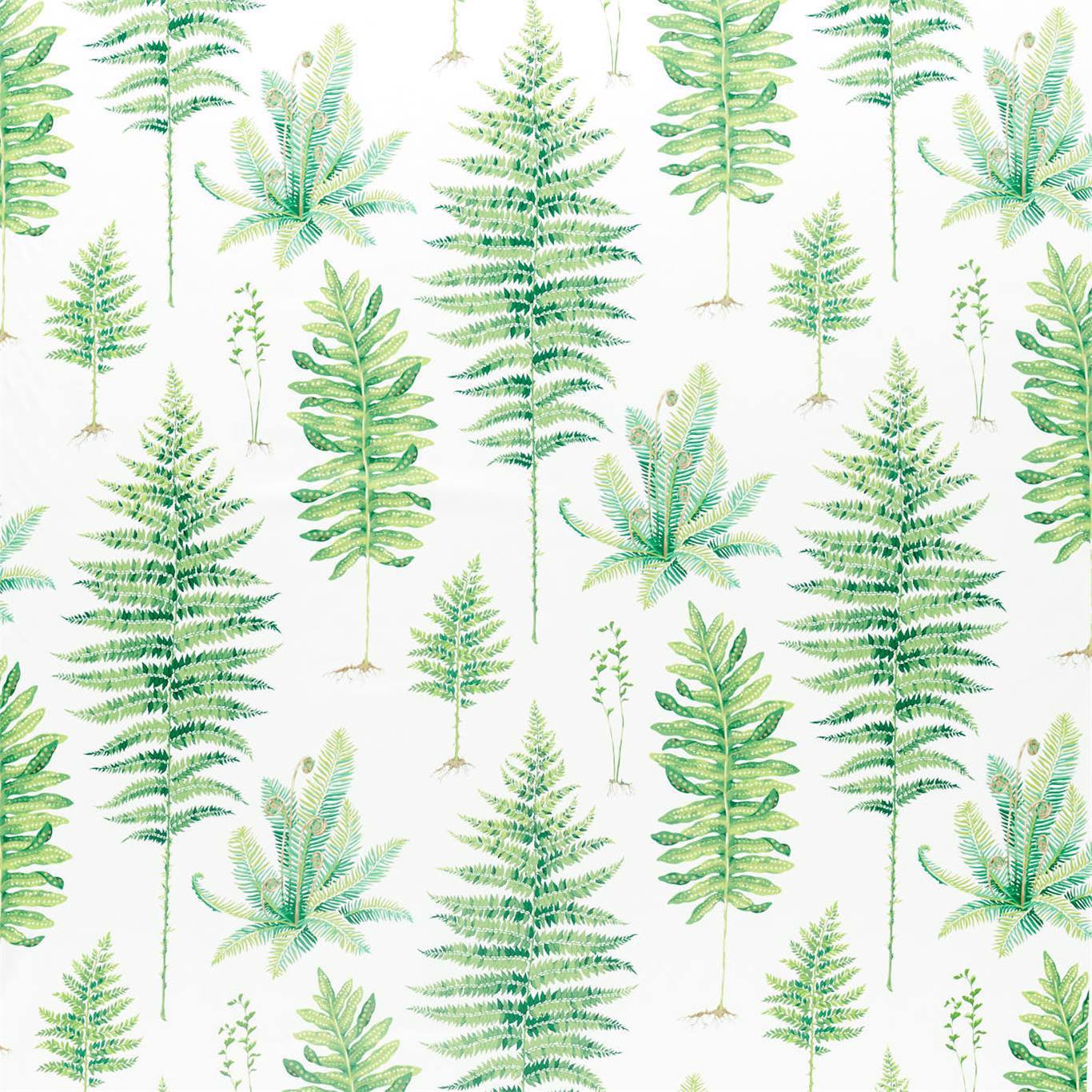 Sanderson Fernery Botanical Green 226579 Fabric Sample DGLA226579